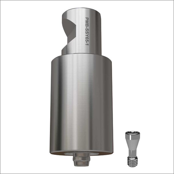 Pre-Milled Blank SSY65-1 Plattform Ø4,8mm WN