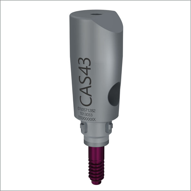 ScanBody22 CAS43-1 Plattform Ø4,3mm