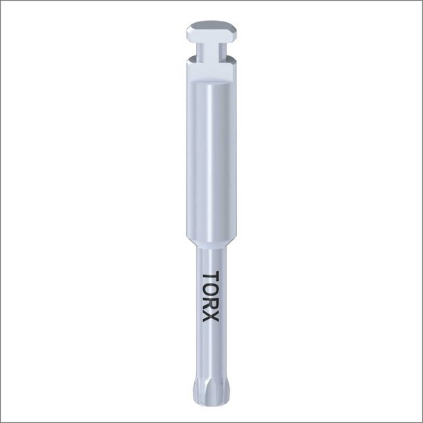 TORX Screwdriver