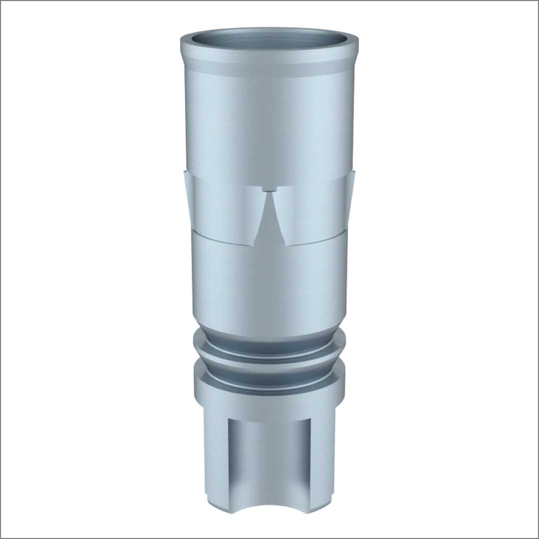 Kompatibel zu MegaGen® Anyridge®